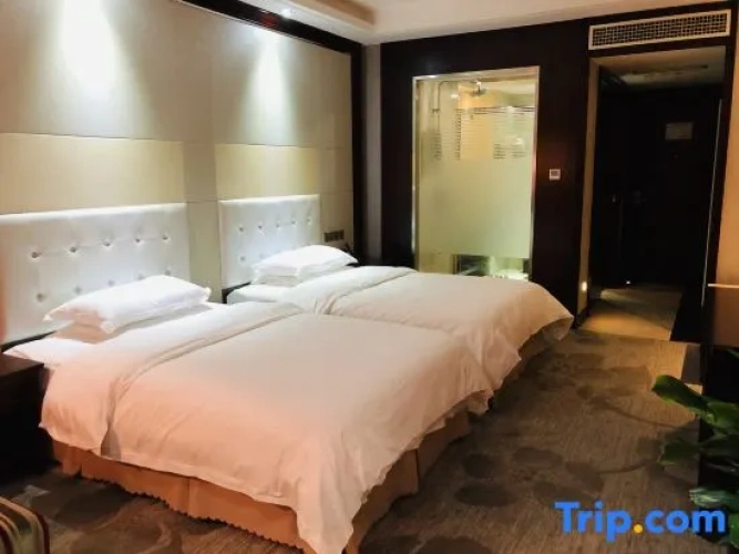 Executive Twin room