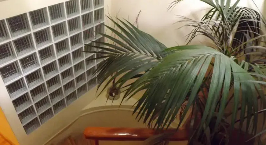 Holiday Rooms & Studios