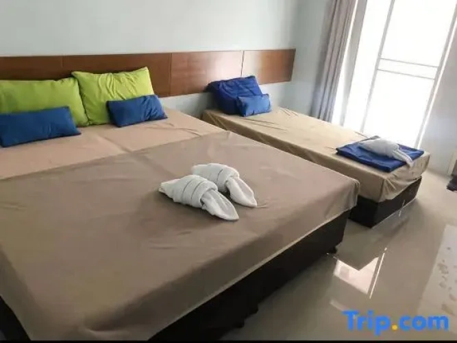Standard Double room with balcony and with view