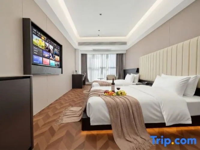 Standard Double room with city view