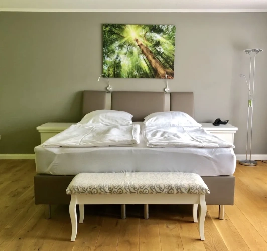 Superior Double room with balcony