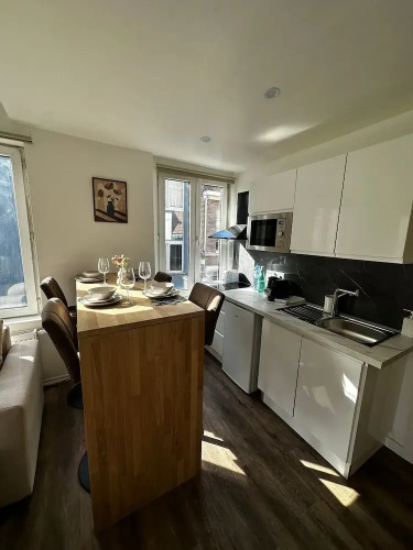 Modern 1BR plus LR Apt Near Gravensteen