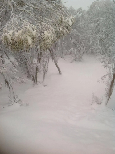 Terama Ski Lodge