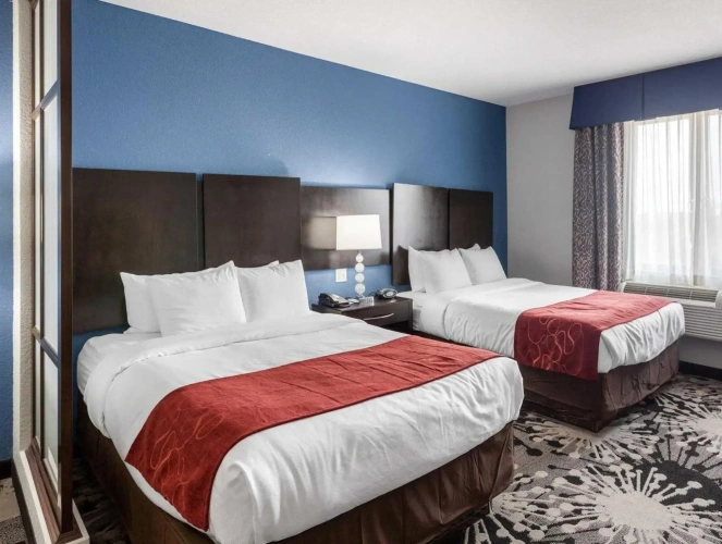 Quadruple Suite