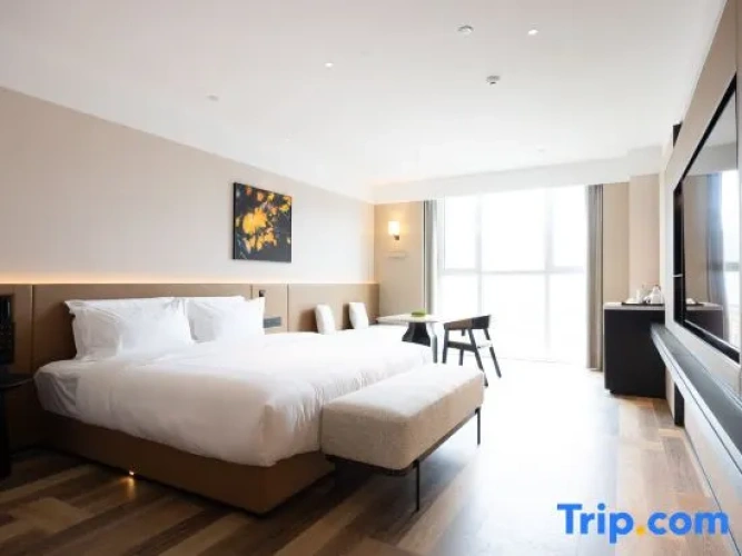 Standard Double room with city view