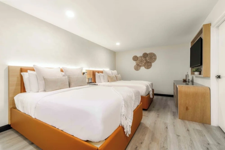 Executive Quadruple room