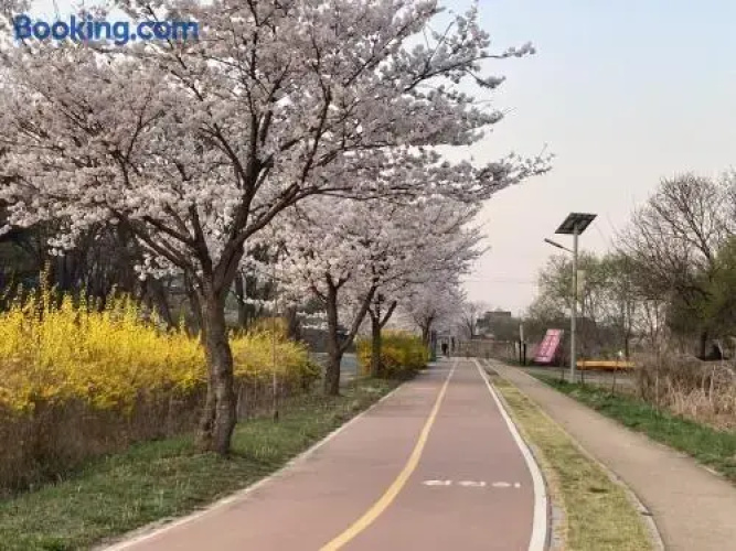 Yangpyeong Cozy