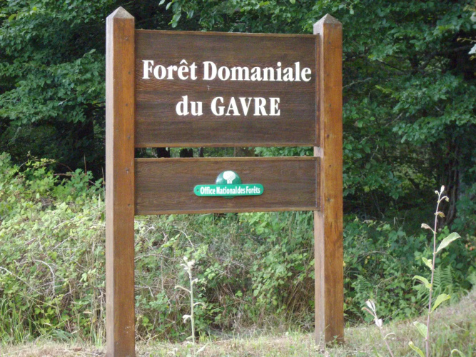 Le Nid d'Omer - Gite