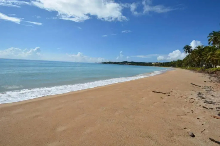 Beach Villa 233