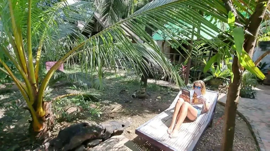 Standard Double room with garden view