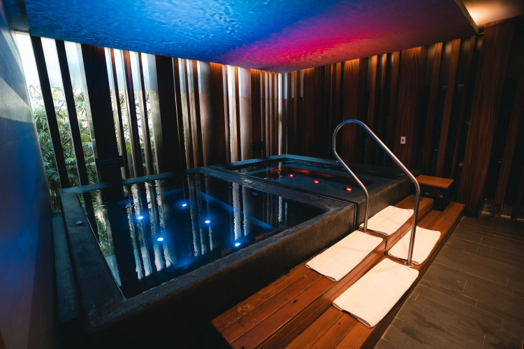 Grand Hyatt Playa Del Carmen Resort photo 29