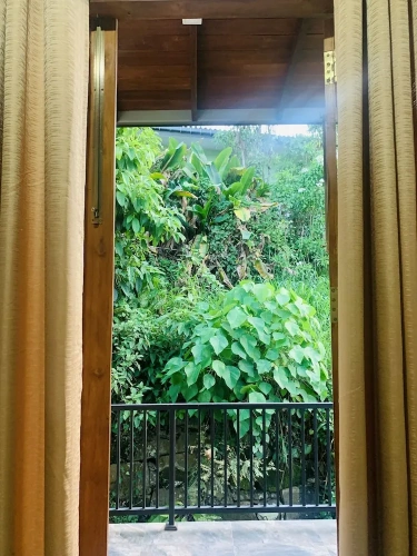 Bed in Dorm with garden view