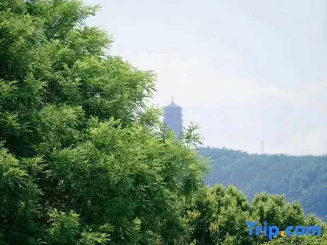 Pinyou Smart Hotel (Qujing Nancheng Store)