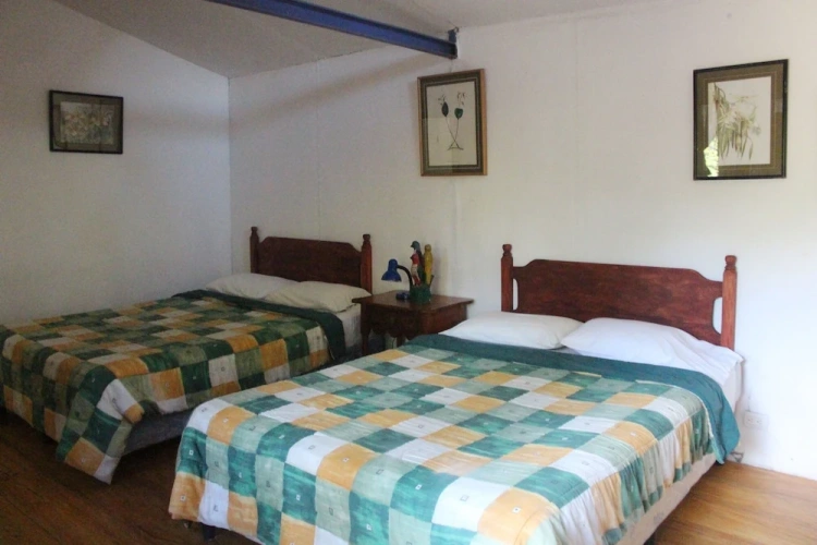 Comfort Quadruple room with garden view