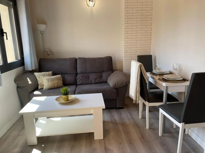 Apartamentos Aranda - Ático Duero