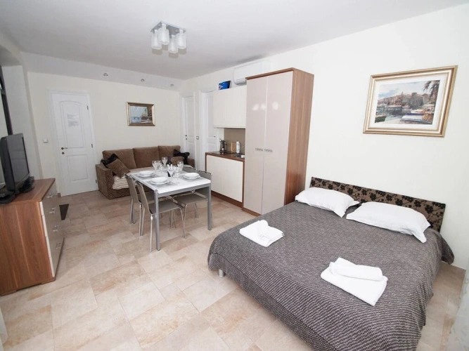 1 Bedroom Apartment