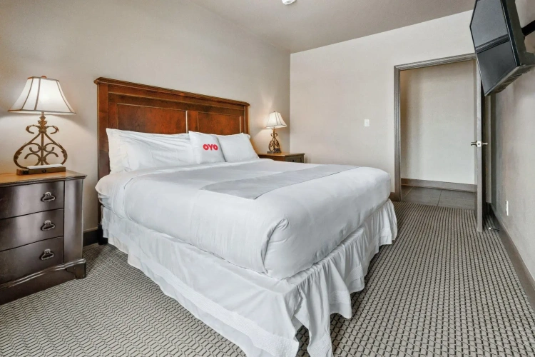 1 Bedroom Double Suite with view