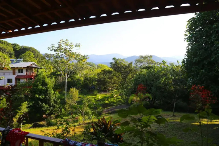 Blue Banyan Inn