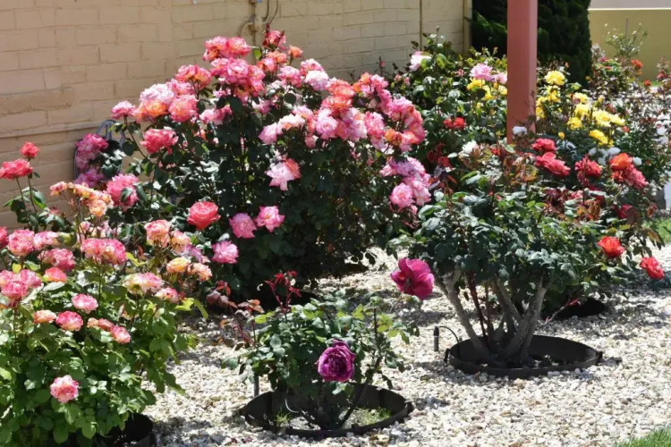 Seaside InnHotel Overview