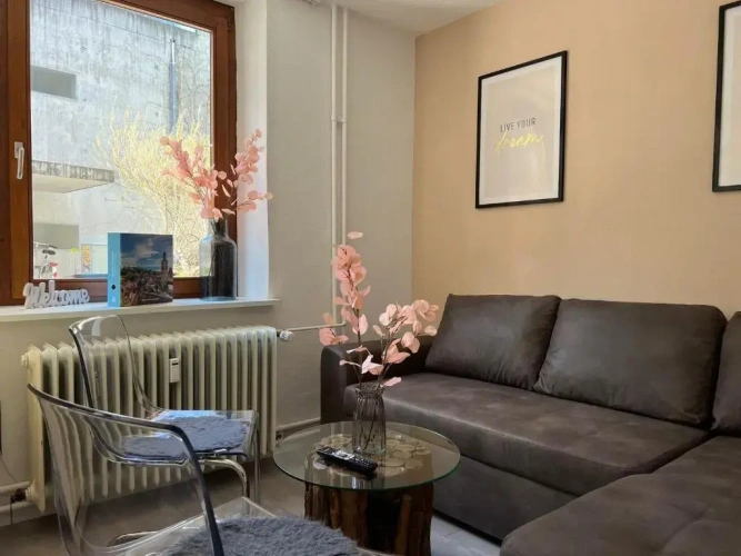 1 Bedroom Apartment