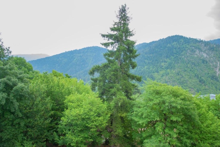 Standard Double room with mountain view