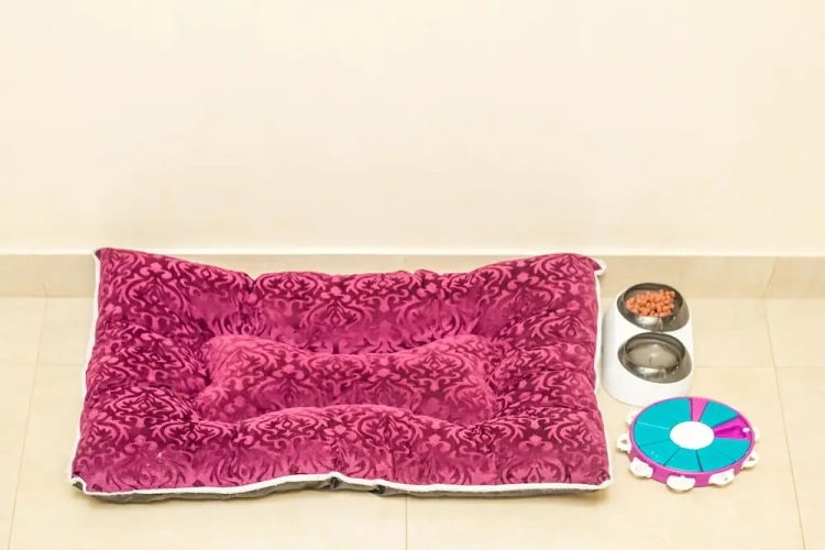 Premium Single room
