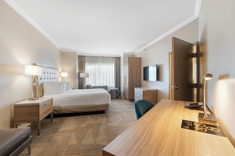 Superior Double Suite