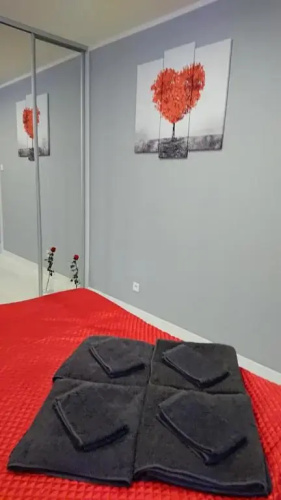 Apartament Exclusive RedBlack