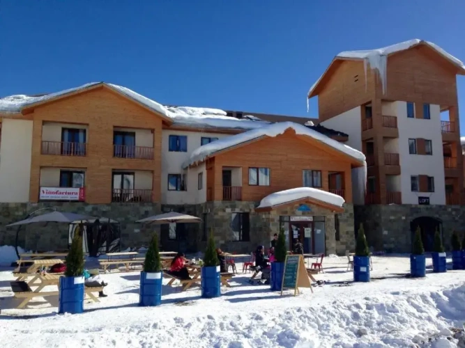 1 Bedroom Apartment