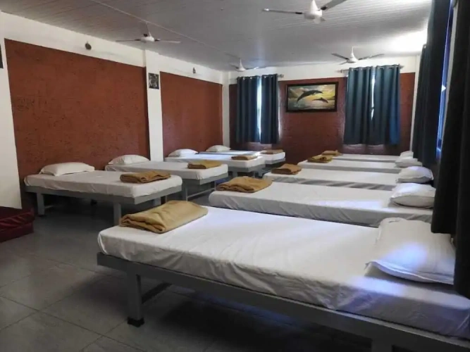 Bed in Dorm
