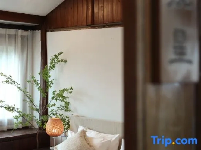 Standard Double room with balcony and with mountain view
