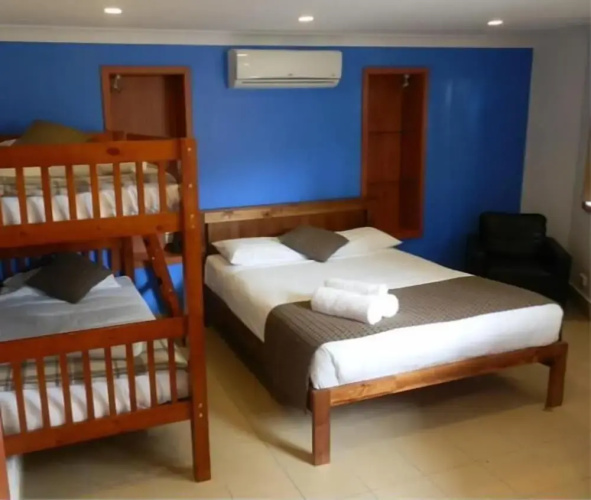 Koala Tree Motel