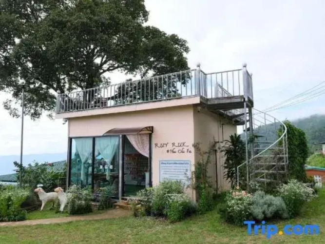 Phuchifa Sky Camp
