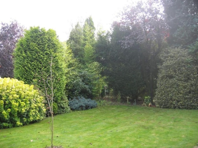 Outside