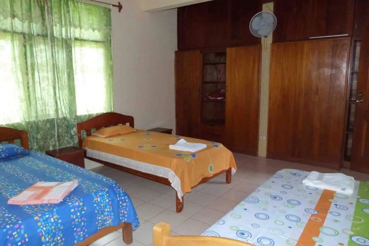 Tarantula Hostel