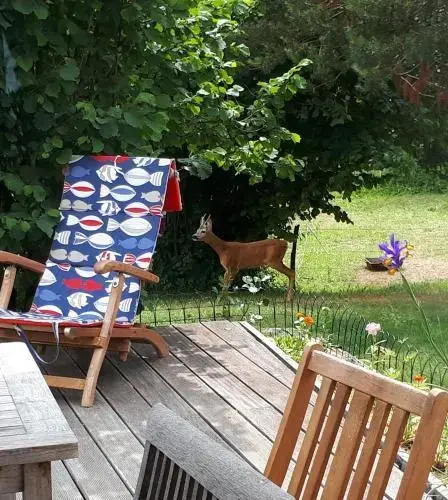 Bed And Breakfast Trnje
