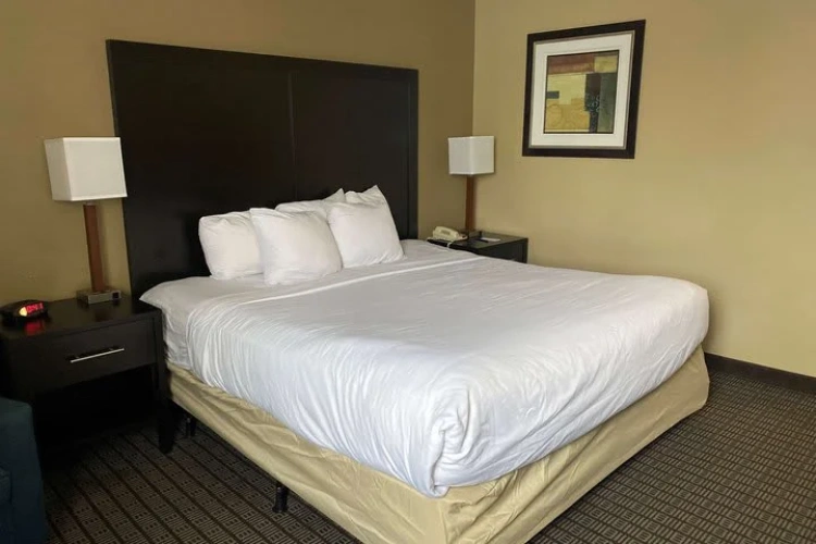1 Bedroom Standard Double room