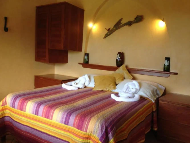 Standard Double room with ocean view