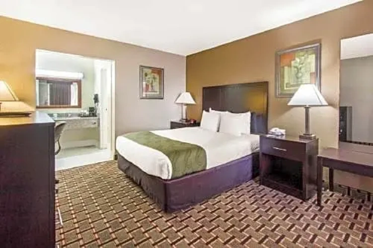 Standard Double room with pool view