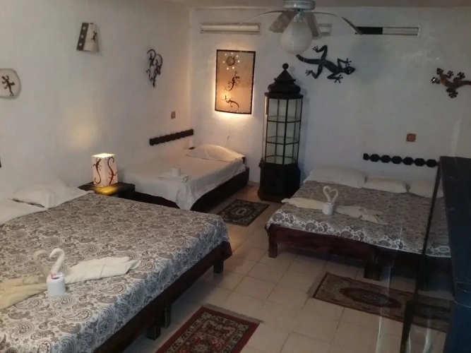 Standard Family room