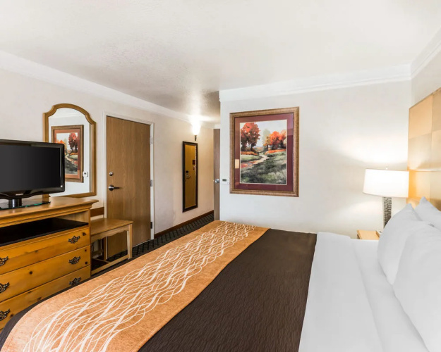 Quality Inn & Suites — фото 3