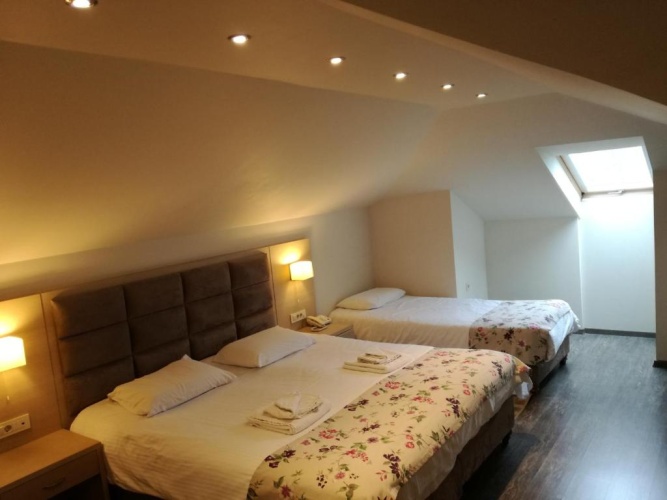 Deluxe Attic room