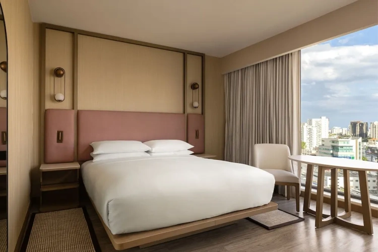 Deluxe Double room with city view