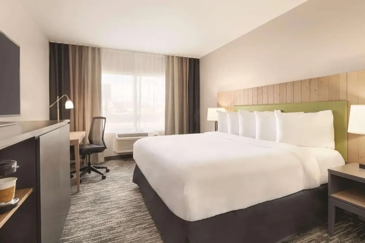 Standard Double room