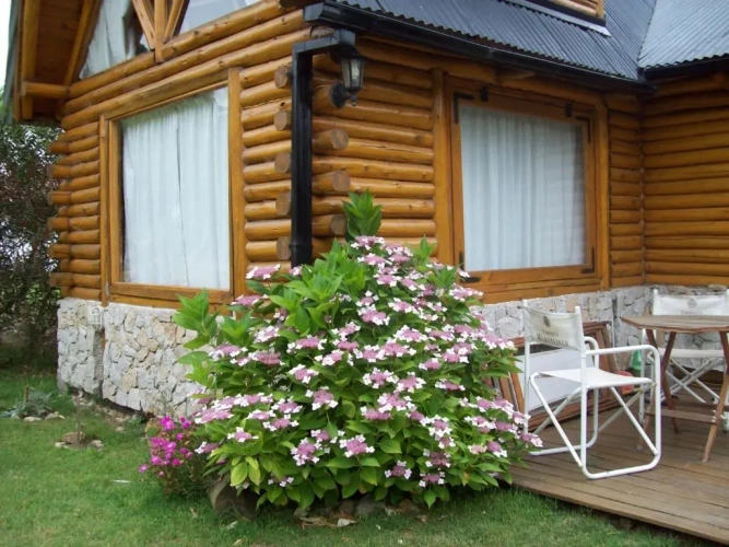 2 Bedrooms Cottage