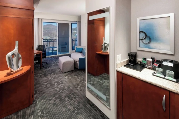 1 Bedroom Suite
