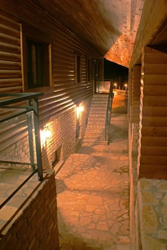 1 Bedroom Standard Apartment