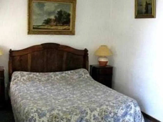 Le Vieil Amandier