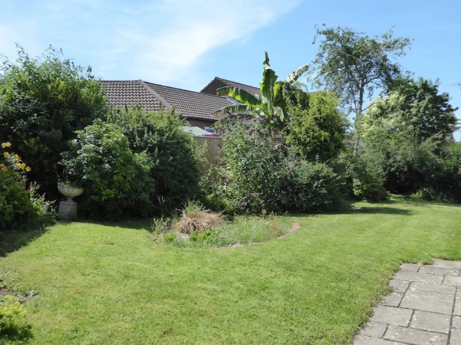 Cottage