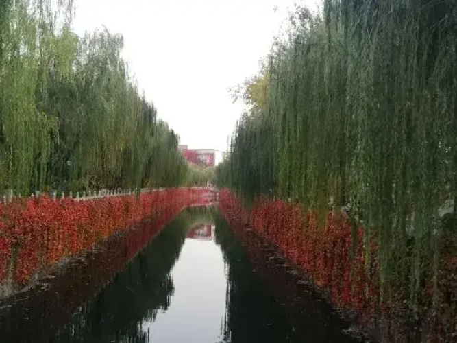 Chengjiang Yanhu Inn